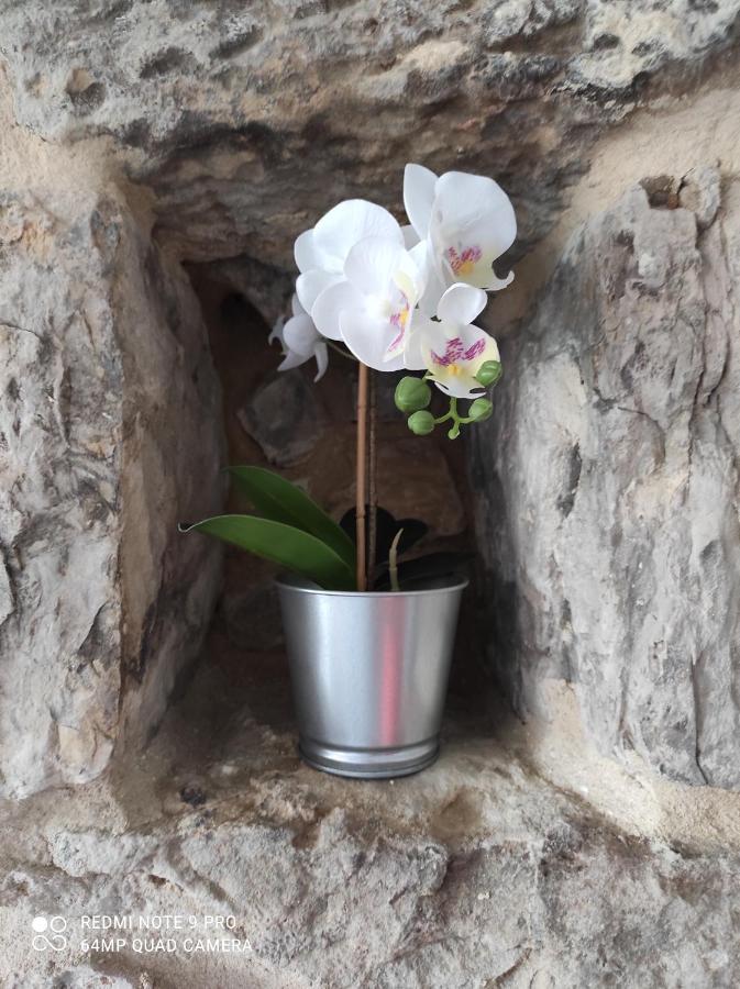 Appartement La Casita Del Abuelo à Galizano Extérieur photo